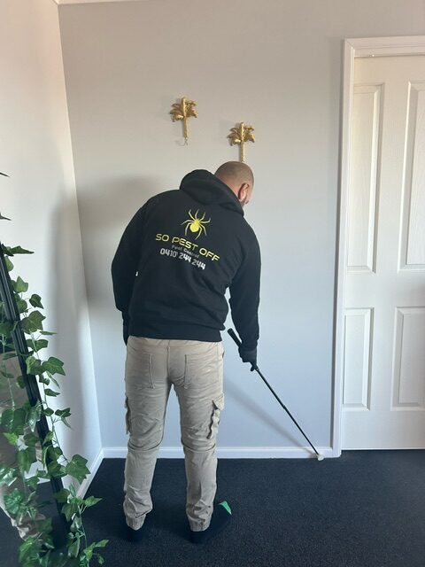 Termite Inspection6 Rotated