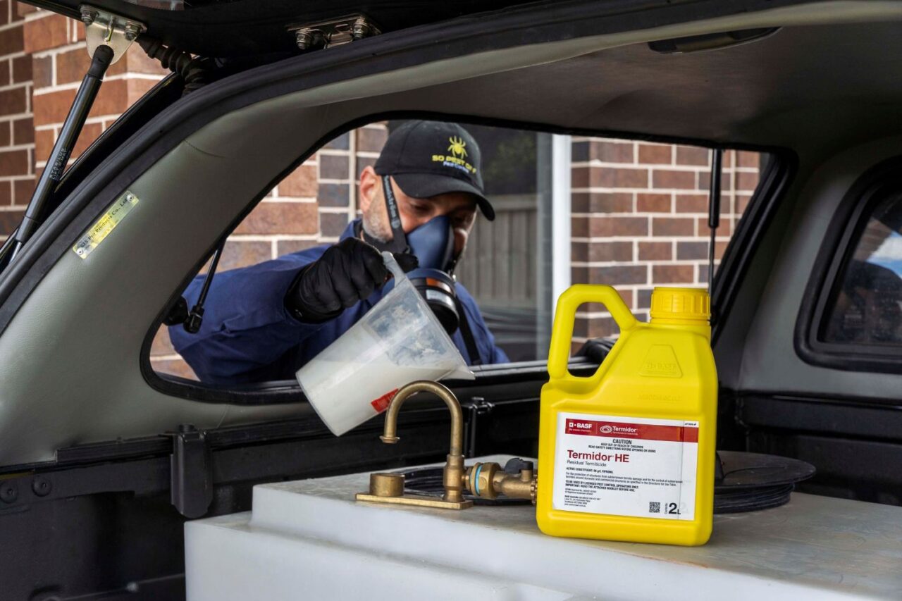 Hills District Termites Pest Control So Pest Off