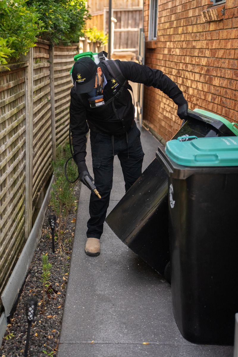 Maggot Pest Control