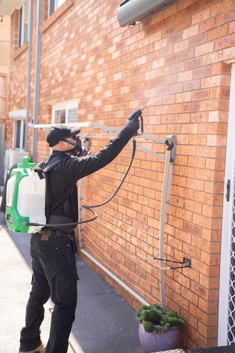 Pest Control Hills District So Pest Off