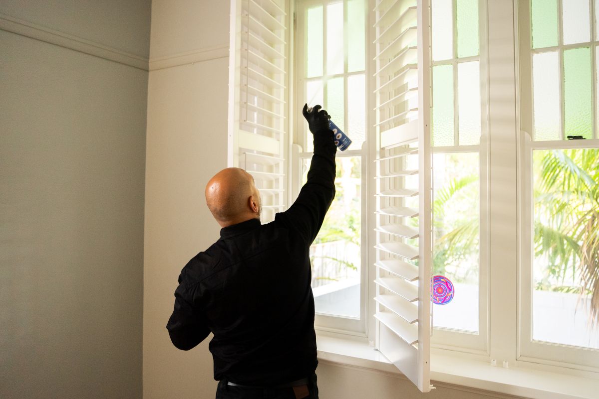 Pest Control Hills District So Pest Off