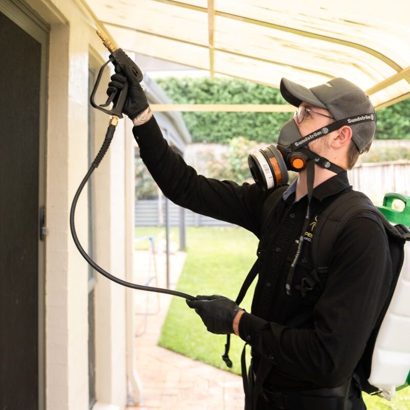 Pest Control Hills District So Pest Off