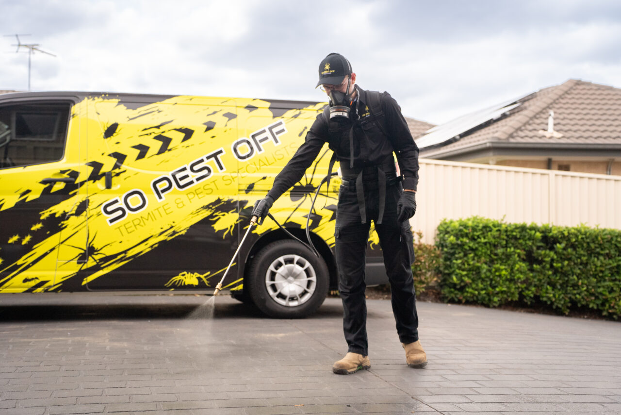 What To Expect – Pest Control